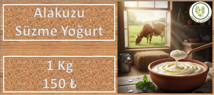 AnaSayfa Afis Yogurt