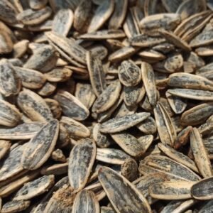 AnaSayfa Çekirdek dökme jumbo lezzetlİ taze