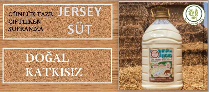 jersey1